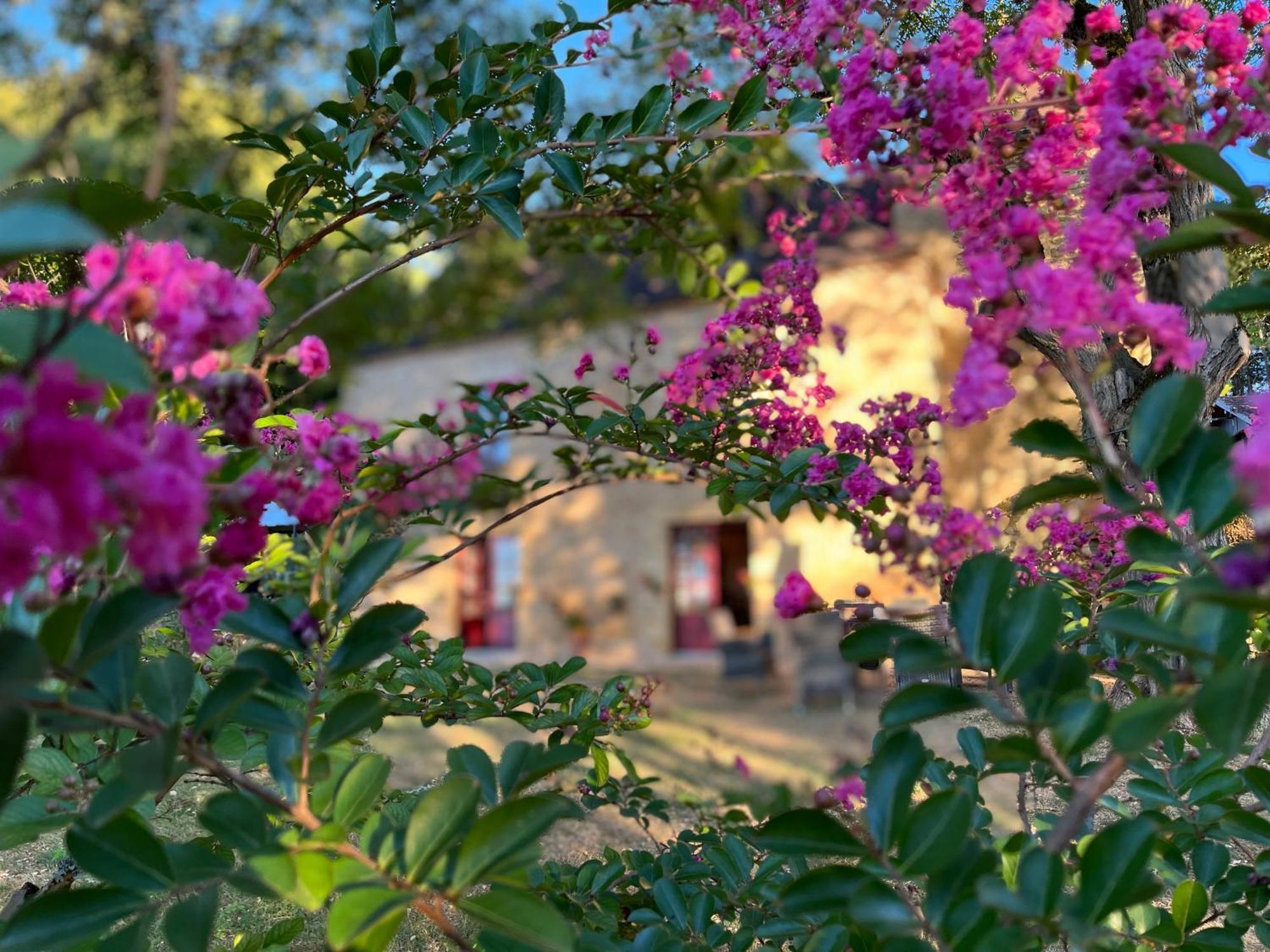Roquebrune Saint-Alvere ภายนอก รูปภาพ